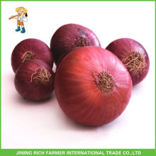 Top Quality And Best Price Chinese Fresh Red Onion